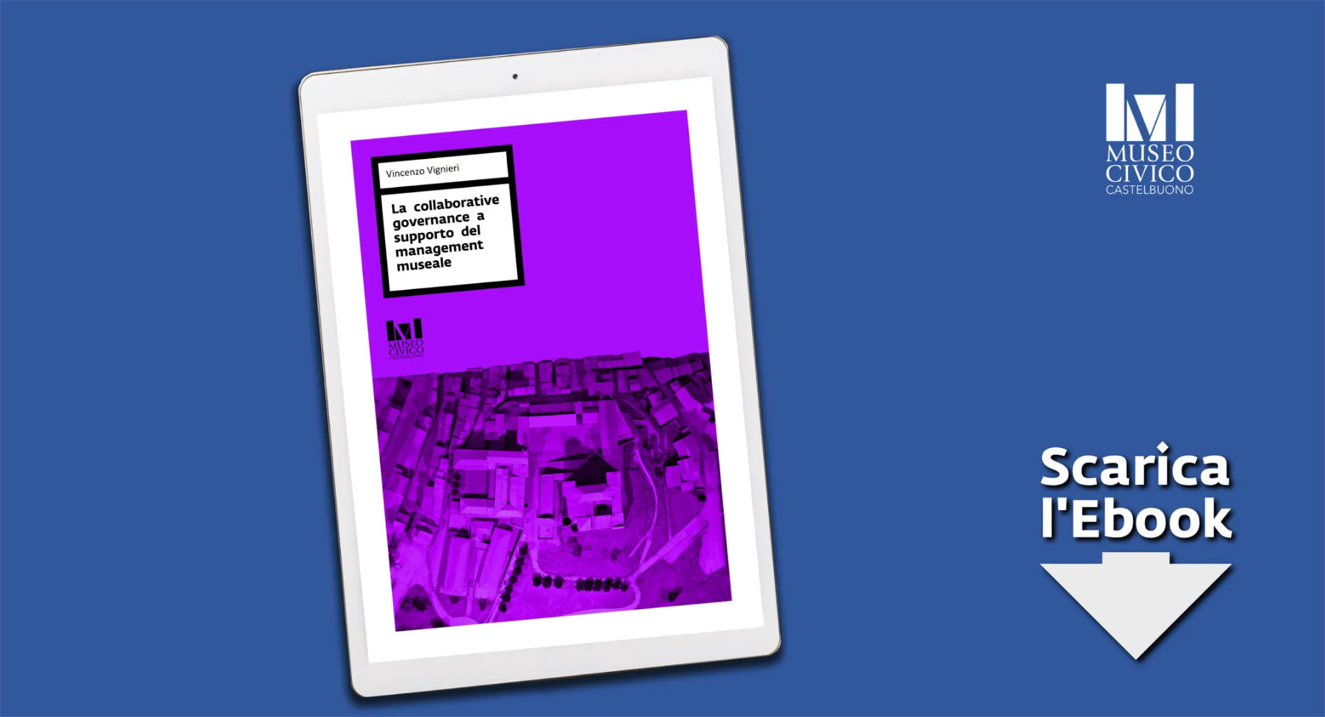 La collaborative governance a supporto del management museale ebook